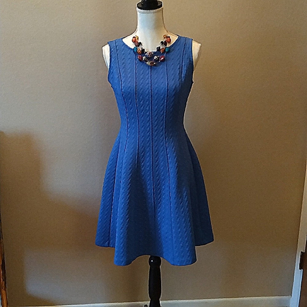 The Limited Blue Dress Sz M